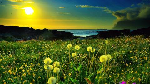 钉钉好友能看到对方位置吗 钉钉会实时监控位置吗