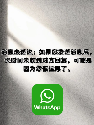 whatsapp中文版2024