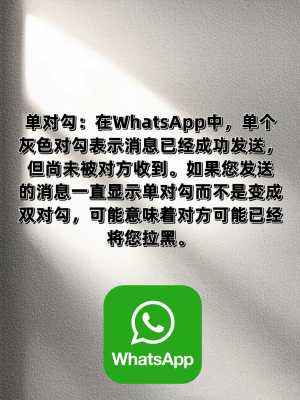 whatsapp中文版2024