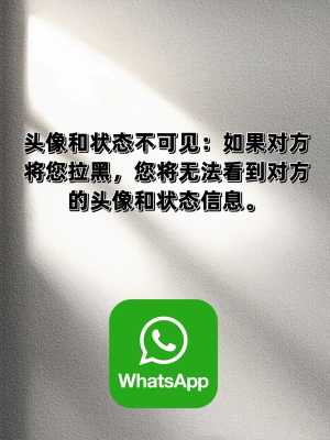 whatsapp中文版2024