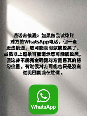 whatsapp中文版2024