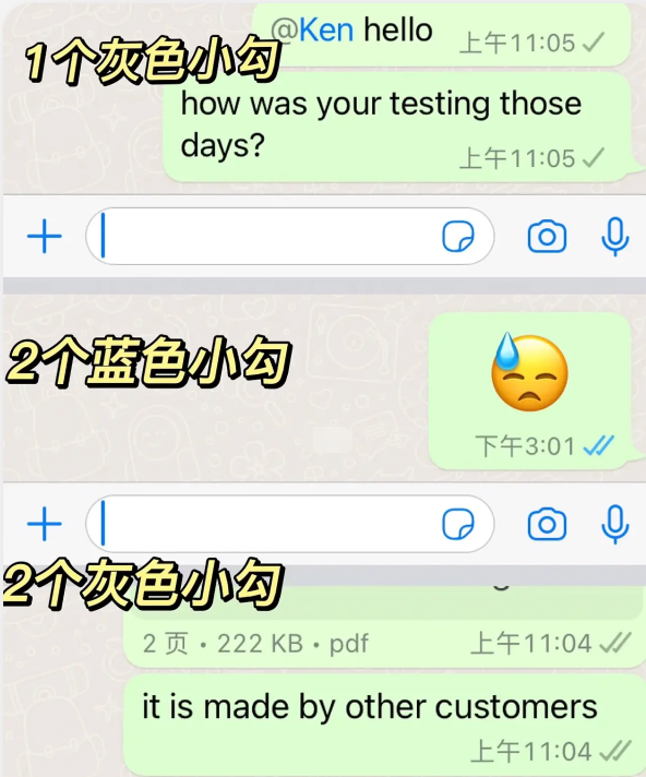 whatsapp安卓版