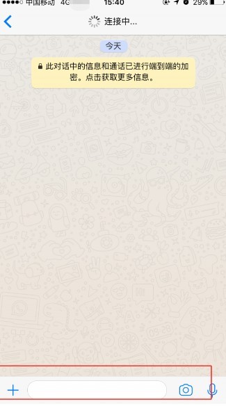 whatsapp最新版本下载2025安卓手机版