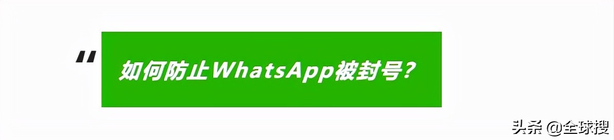 WhatsApp「全套」使用攻略，让你一次性玩转它