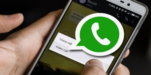 WhatsApp最新版本