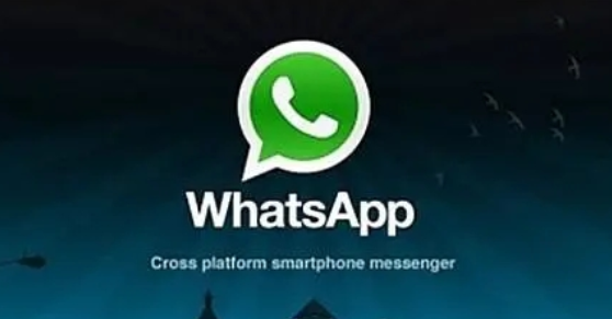 whatsapp国内使用方法
