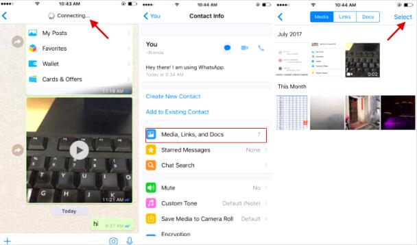 WhatsApp有哪些实用的功能 这些WhatsApp超实用的运用技巧一定要掌握
