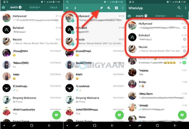 WhatsApp有哪些实用的功能 这些WhatsApp超实用的运用技巧一定要掌握