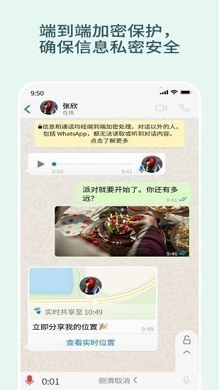 安卓版下载