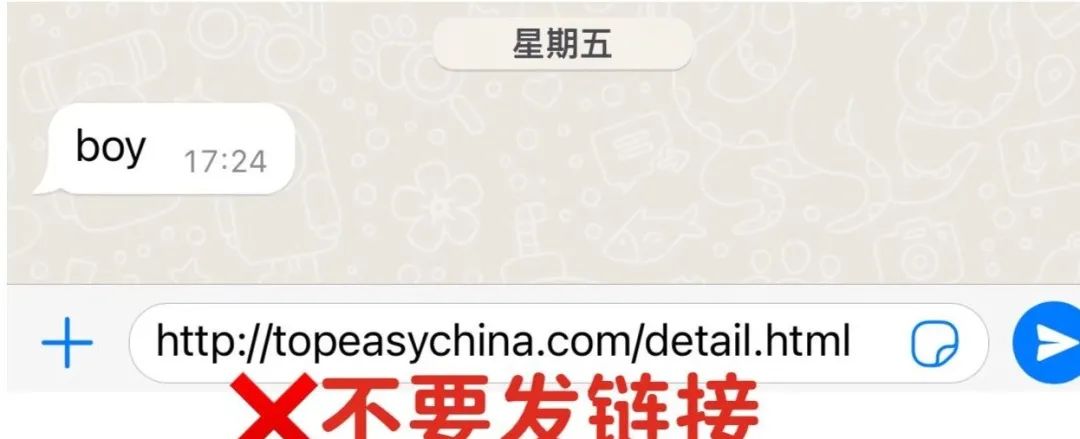 WhatsApp养号攻略