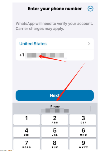 支持有线固定电话号码：您可经 whatsapp business