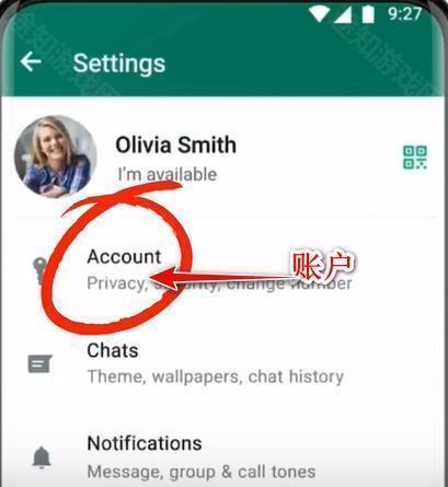 Whatsapp国际版游戏介绍