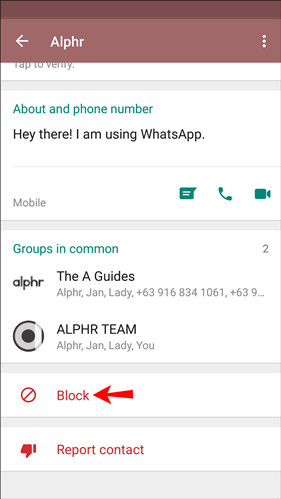 whatsapp官网最新版