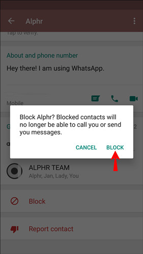 whatsapp官网最新版