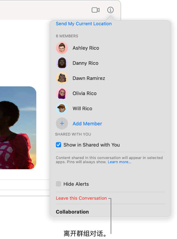 Mac 上的“信息”中管理群组对话