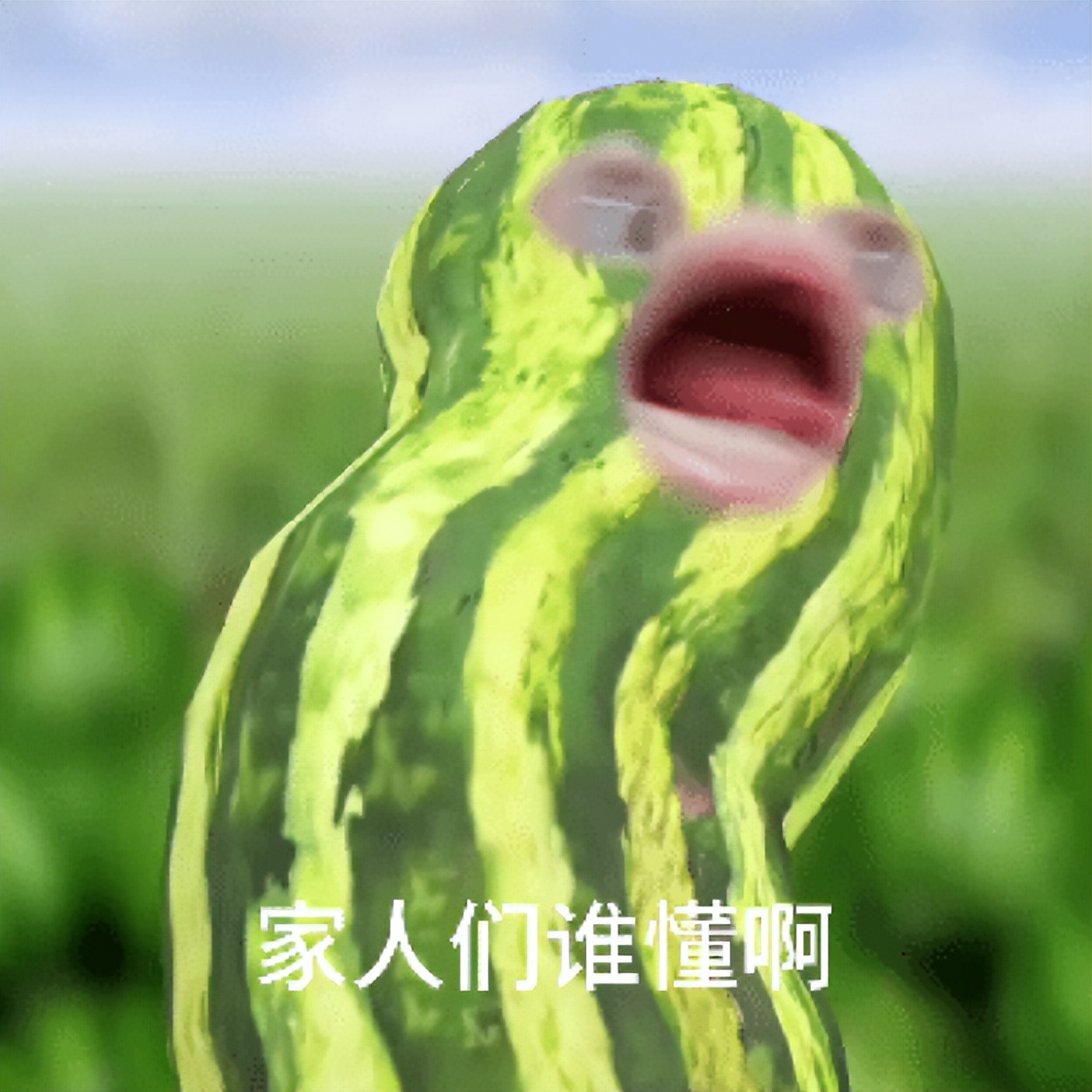 微信「文件传输助手」这瓜，我可以笑三天三夜