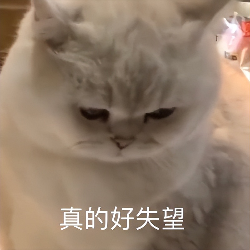 微信「文件传输助手」这瓜，我可以笑三天三夜