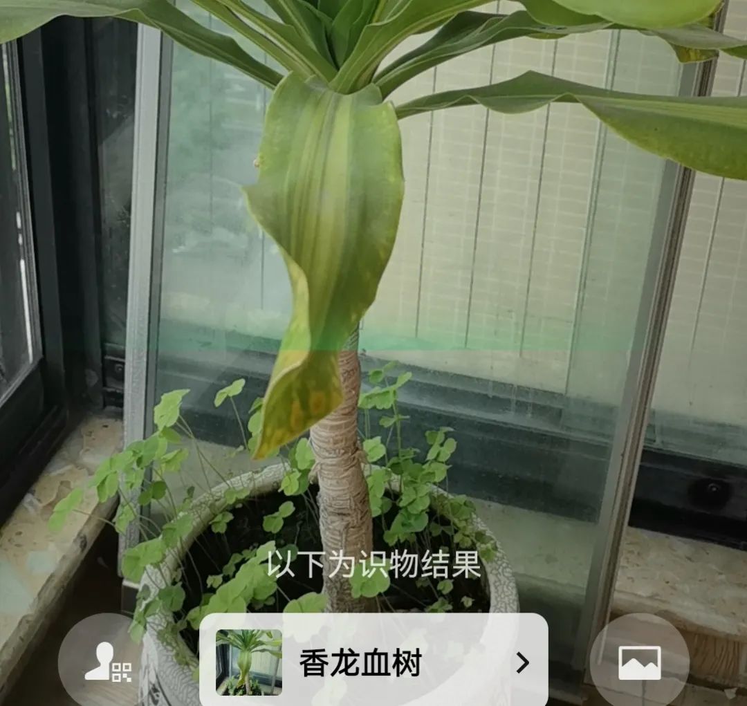 微信「扫一扫」背后隐藏的秘密