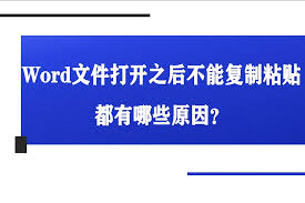 Word文档内容为何无法复制