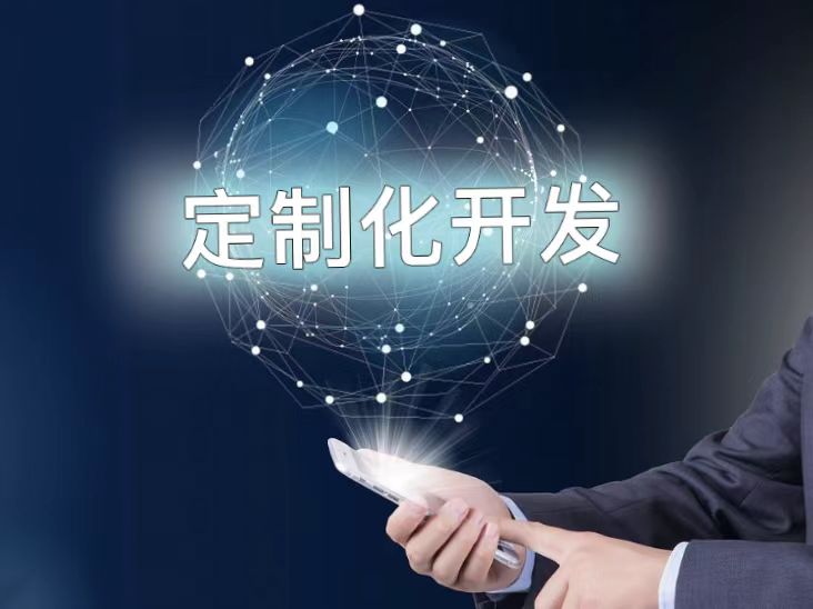 定制软件开发存在物美价廉吗？