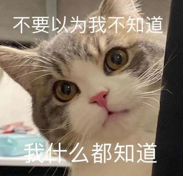 315曝光!这些APP每天偷取隐私,赶紧卸载