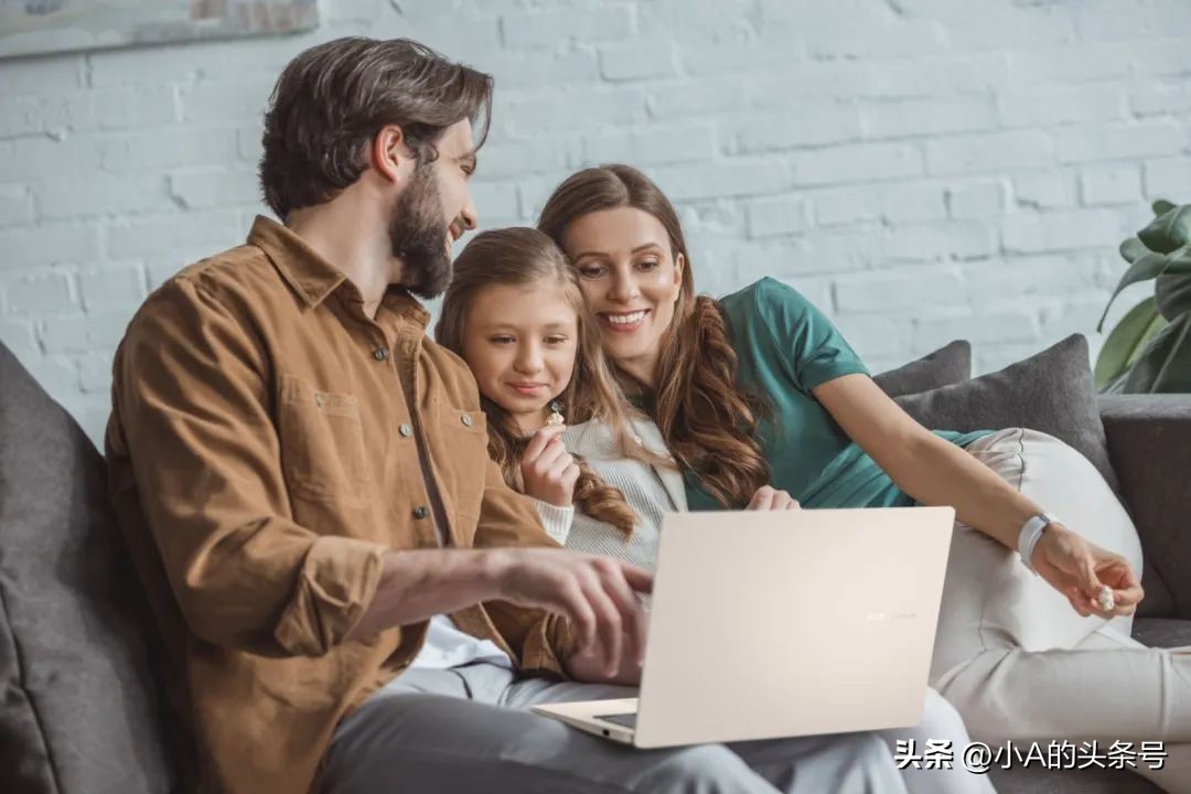 Windows 11文件夹共享指南，从设置到访问一篇搞定