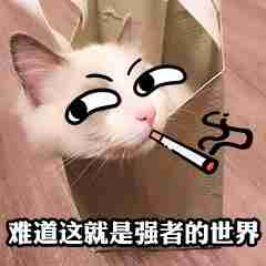 word打开很慢怎么解决（怎么提升Word文档的启动速度）