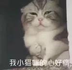 再见WPS！微软新出的免费Office软件，我一用就爱上了