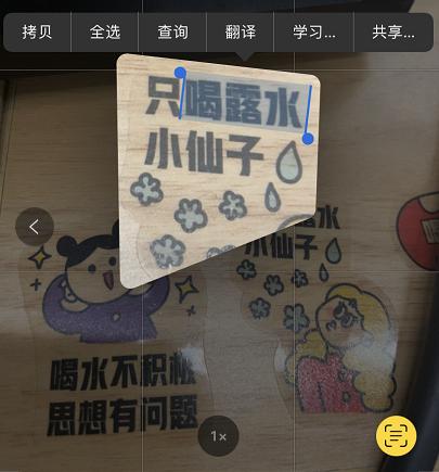 iOS15虽然被群嘲了，但我发现它的一些隐藏功能还挺好用