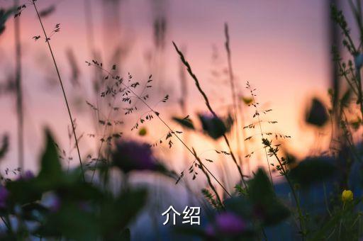 能看片的浏览器电脑版，能播放视频的PC浏览器推荐