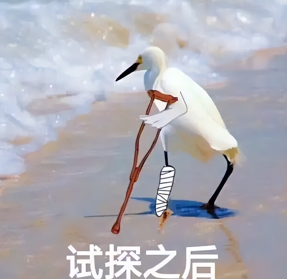 过于生草！最沙雕的抽卡模拟器，却模拟出了最真实的抽卡体验