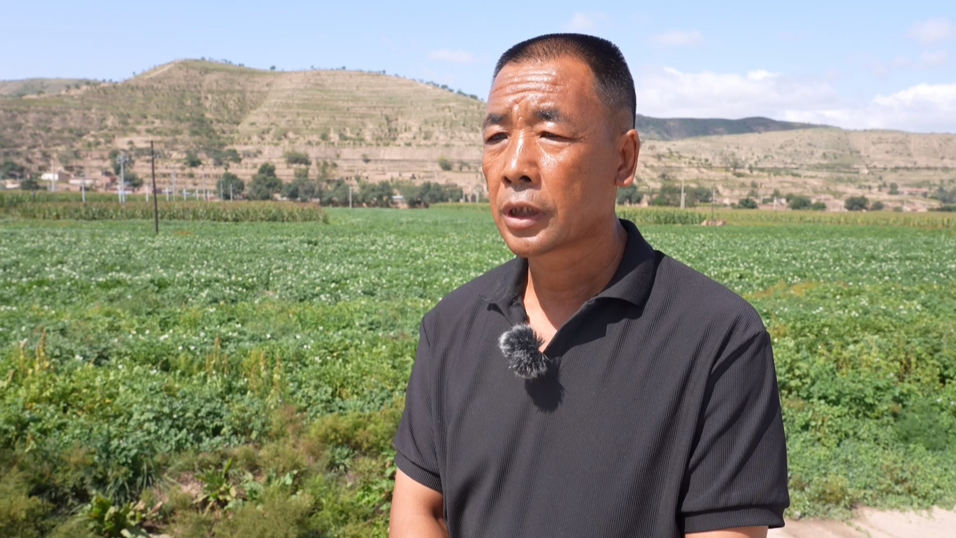 马铃薯生长关键期，会宁用无人机喷药防病害，增产有保障