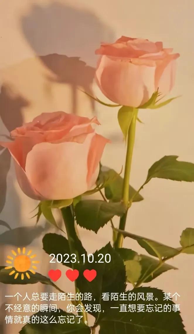 打工人上班必备水印相机app分享,打卡再也不用担心!