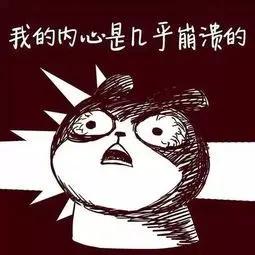 一键彻底关闭windows10和Win11自动更新
