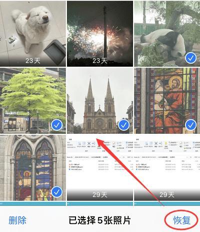 误删照片怎么恢复？汇总4个苹果手机照片误删恢复方法介绍！