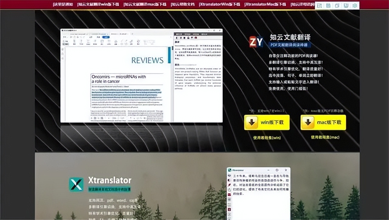 好用的文档翻译器分享！1秒翻译简单轻松！码住！