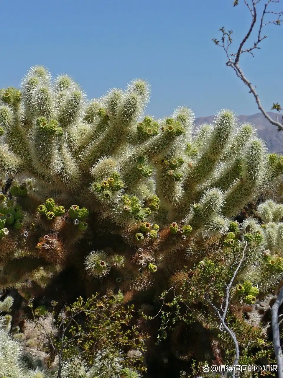 2026求职避坑攻略：面试后如何优雅地跟进结果？这份话术请收好