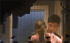 成名不膨胀，数十年如一日宠素人老婆，专一且痴情的魏晨太难得