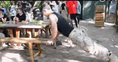 33岁的魏晨“高调”水下求婚成功！网友直呼浪漫又别致