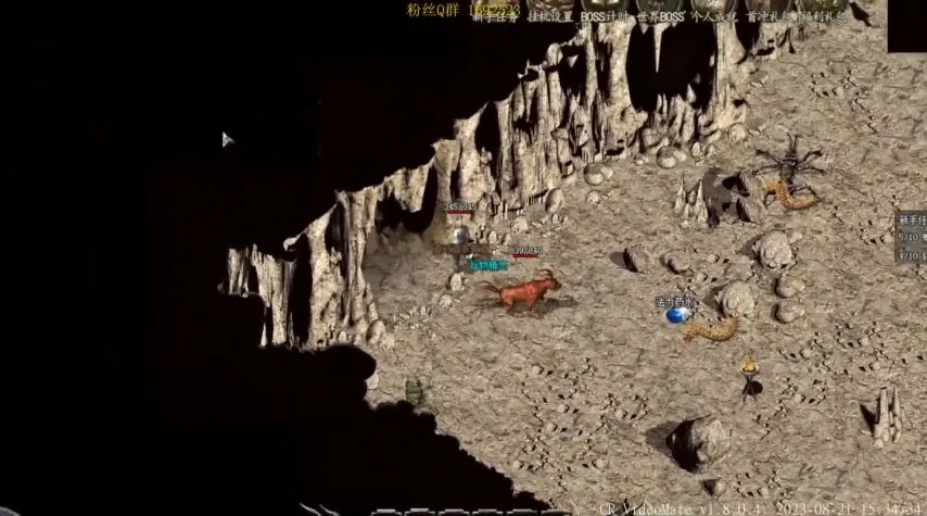 人气最高的传奇私服：揭秘新服“天下无敌”的火热背后