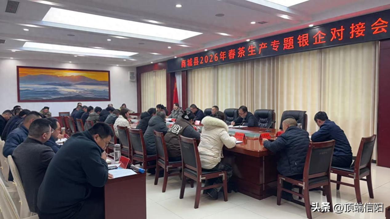 商城县：银企搭台，为春茶生产注入金融“活水”