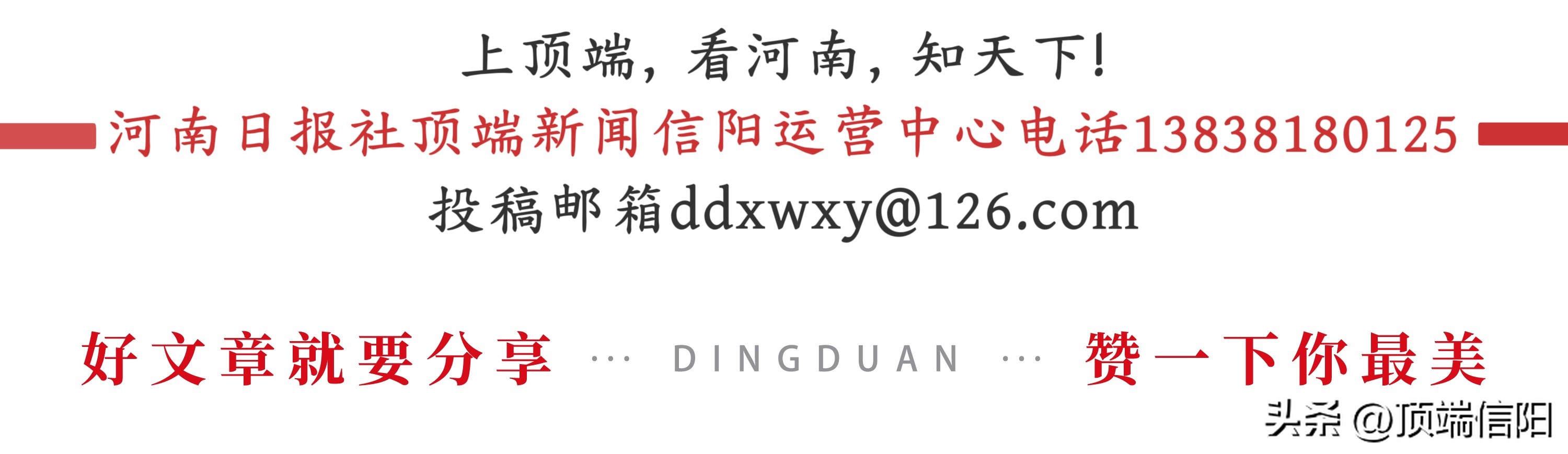 商城县：银企搭台，为春茶生产注入金融“活水”