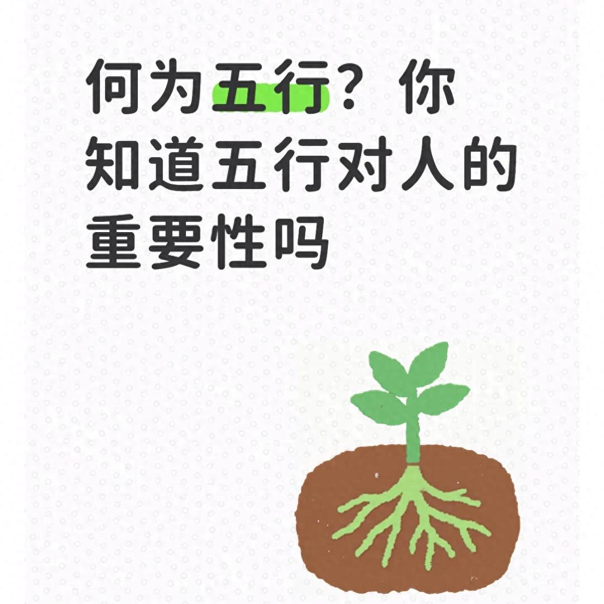 何为五行？你知道五行对人的重要性吗