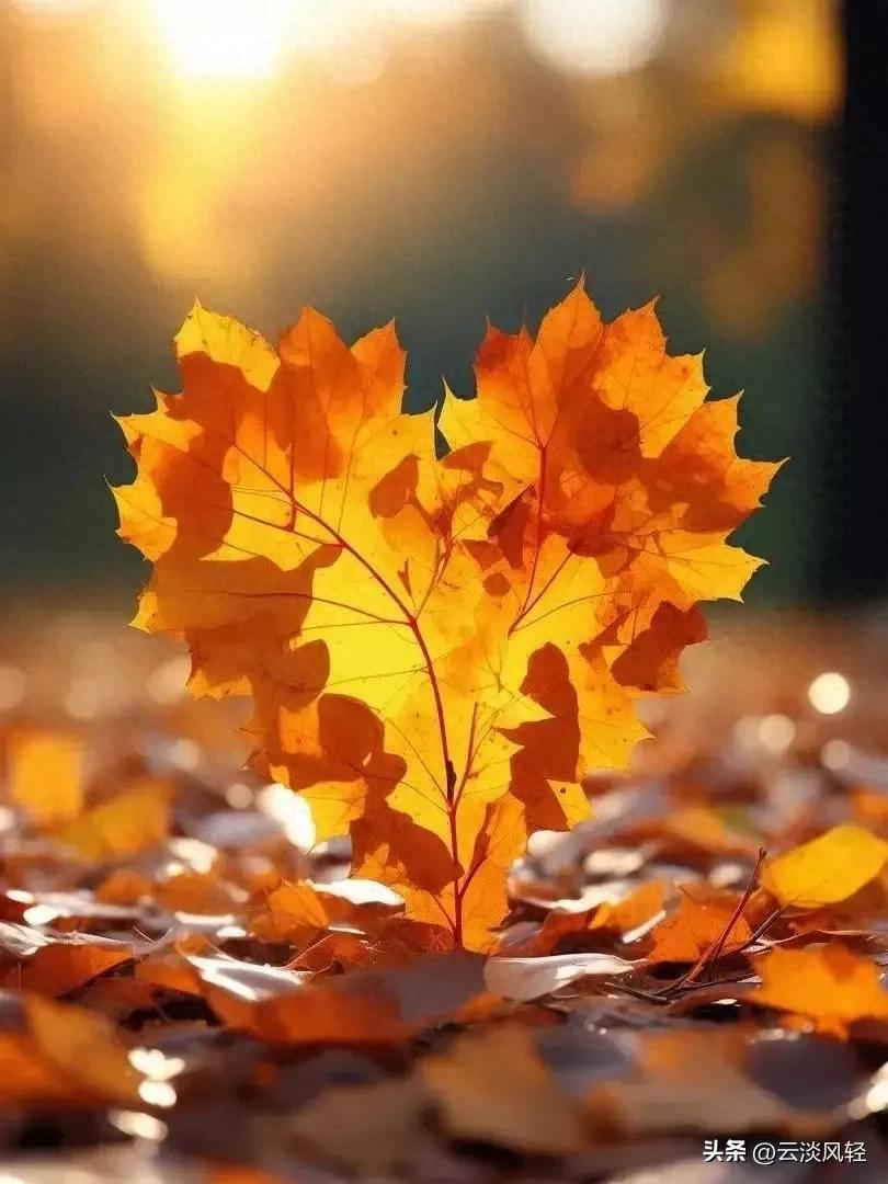 一张图测测你和另一半般配吗?挺准额!