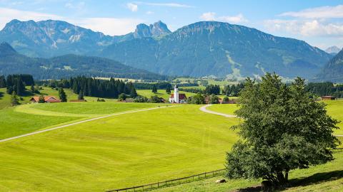 打造一个好听的游戏家族名字,让你的游戏之路更加精彩
