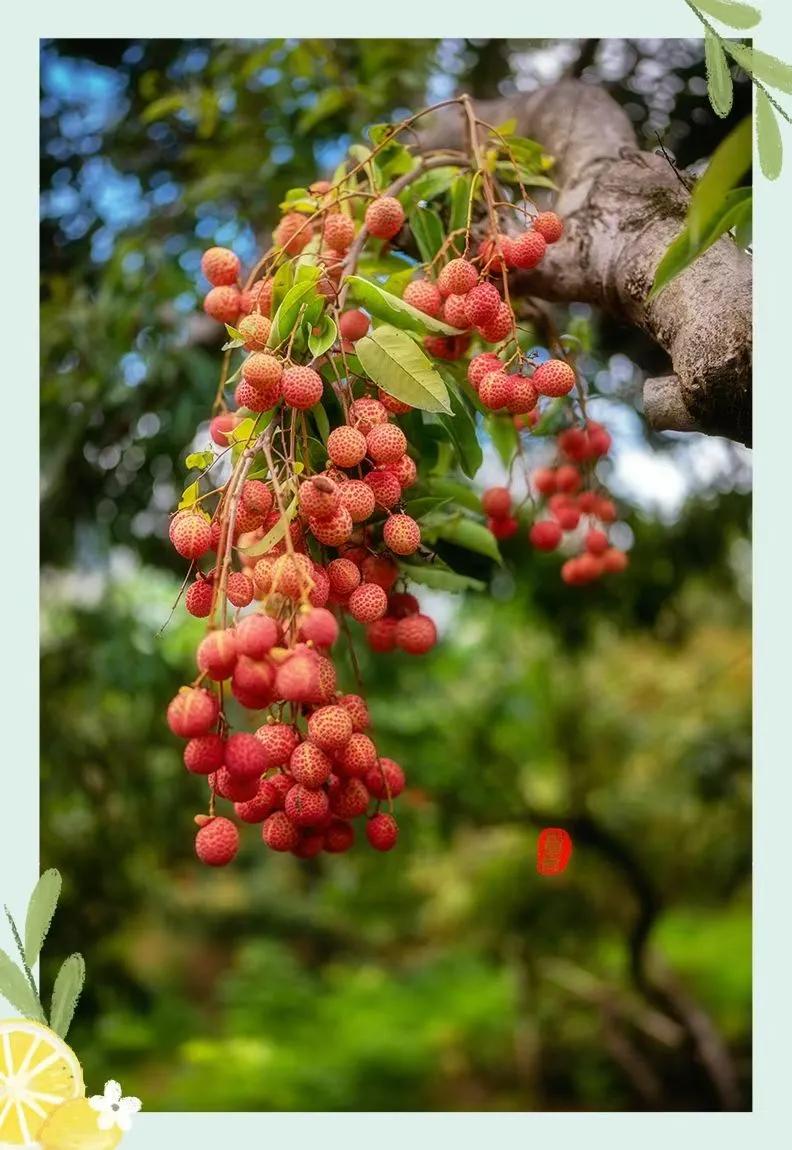 中小学教师专业技术工作总结要把握好的三大点之——标题