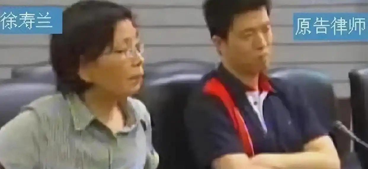 法官王浩与“彭宇扶人案”：正义与良知的较量