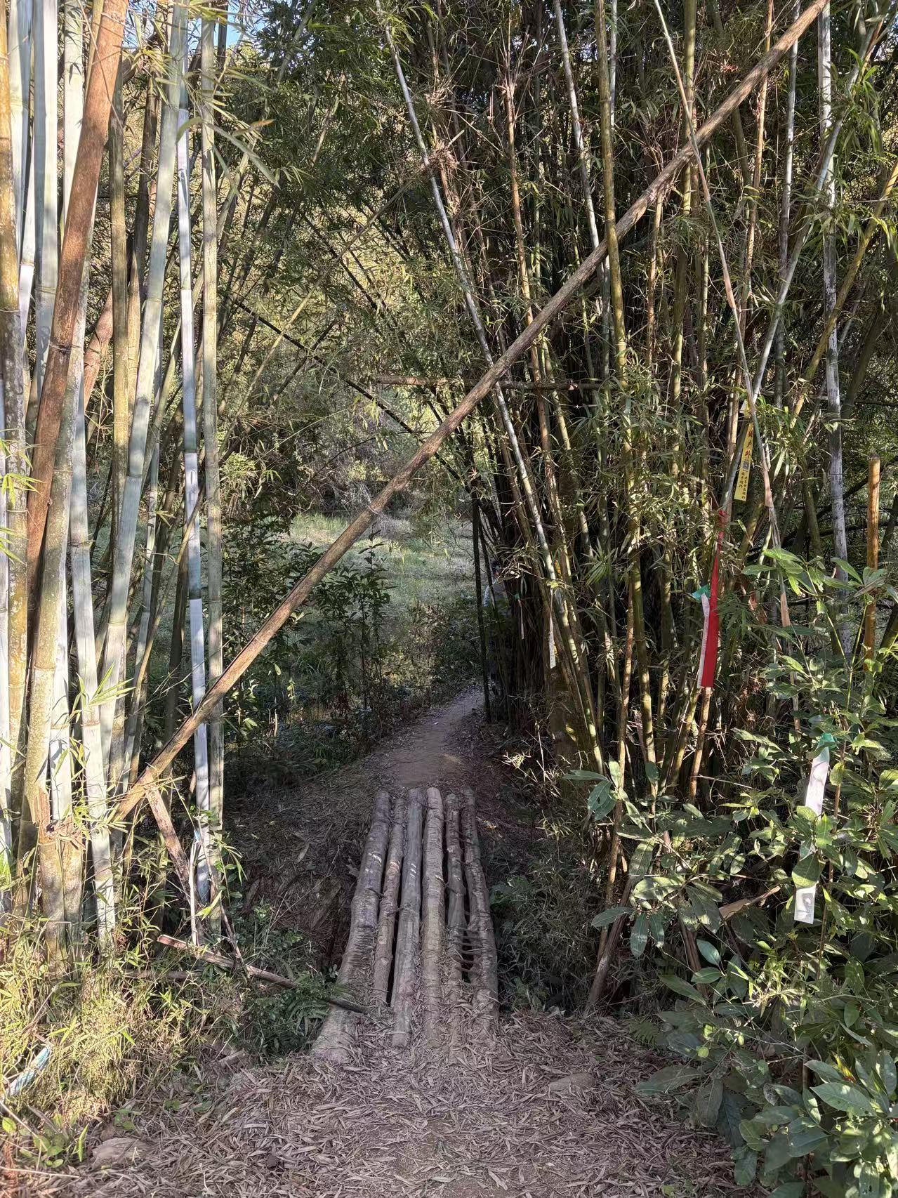 出差党救星!开车出差电子发票开具全攻略,汇总/单独开一看就会