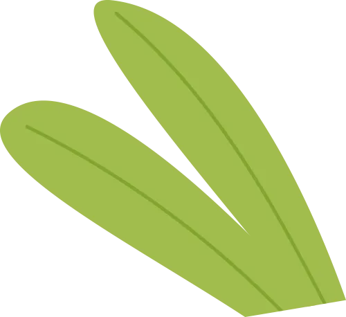 老师每天给家长群发一段话，悄无声息地实现了家校共育（1月版）