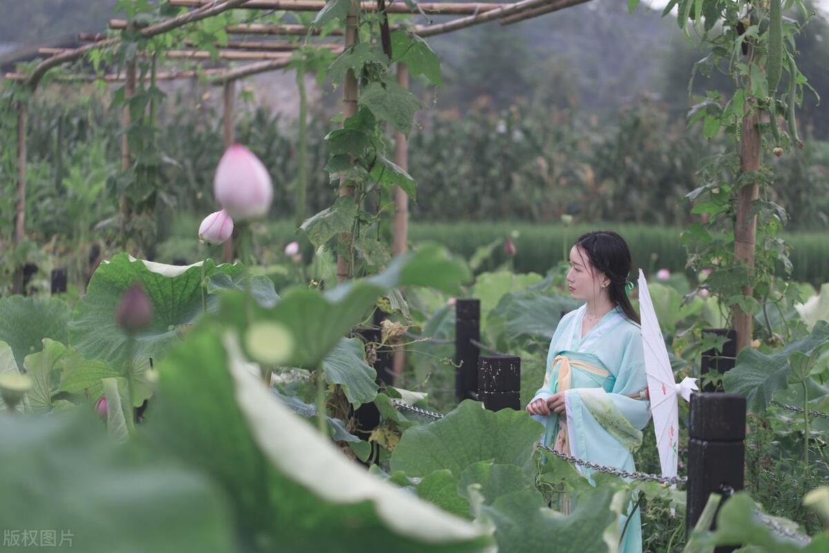 头条写作441多天，尝试7个赛道，收入不过百，为什么我还在坚持？